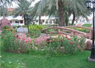 Flamingo Beach Resort  Умм Аль Кувейн 
